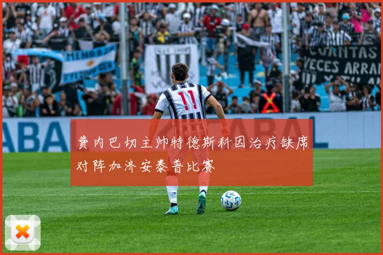 费内巴切主帅特德斯科因治疗缺席对阵加济安泰普比赛