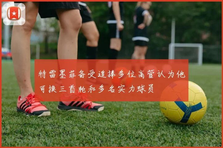 特雷墨菲备受追捧多位高管认为他可换三首轮和多名实力球员