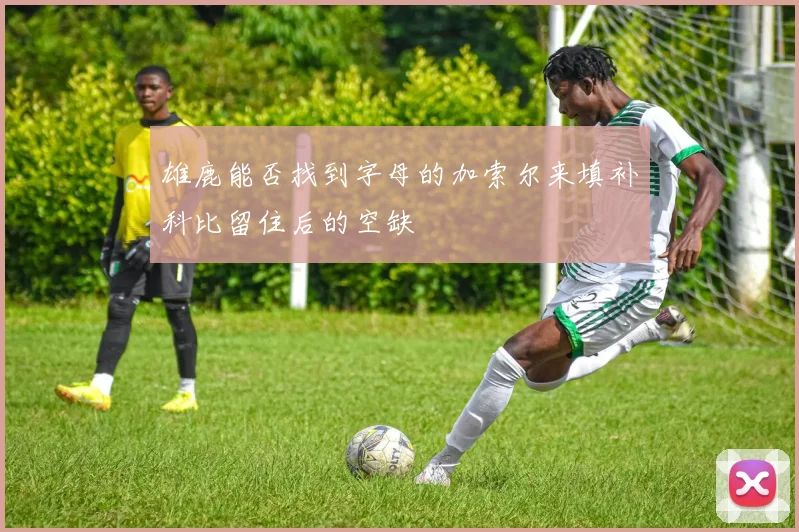 雄鹿能否找到字母的加索尔来填补科比留住后的空缺