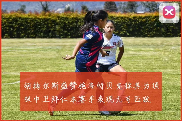 胡梅尔斯盛赞施洛特贝克称其为顶级中卫拜仁本赛季表现无可匹敌