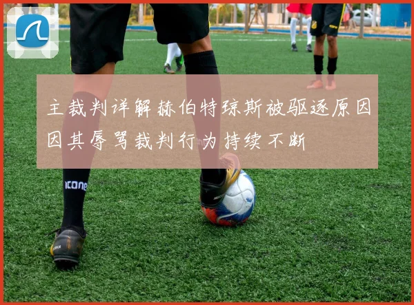 主裁判详解赫伯特琼斯被驱逐原因因其辱骂裁判行为持续不断