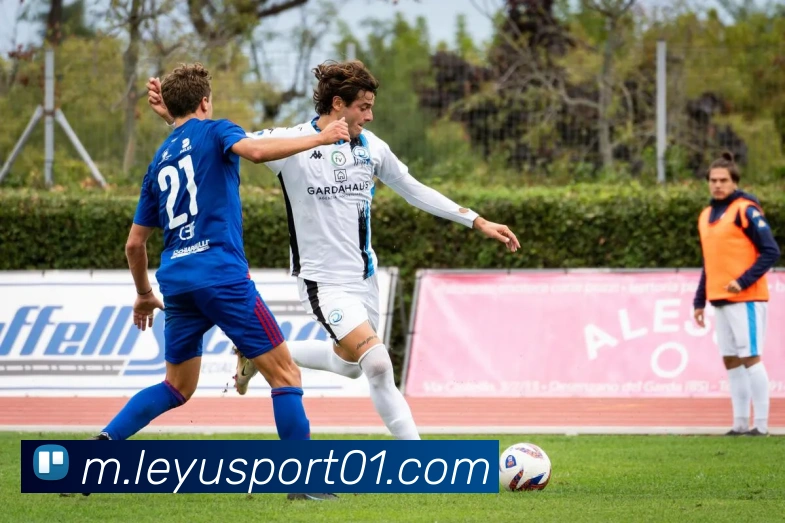 乐鱼体育APP 高清赛事图